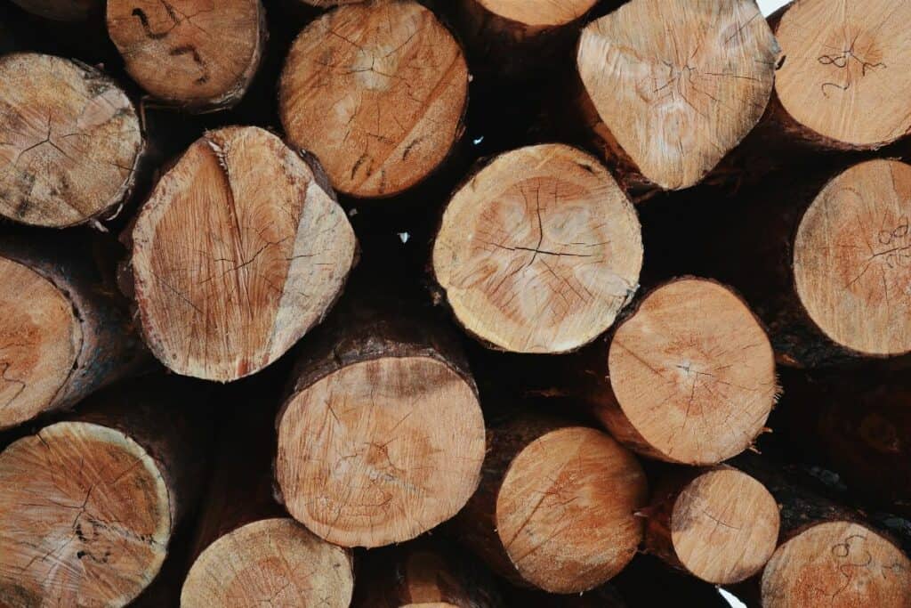 Semaine du 6 mars : le prix du bois reste égal