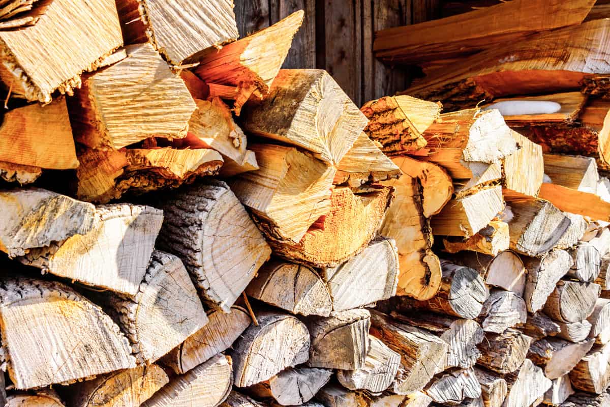 Quel est le prix du bois de chauffage en 2024 ?