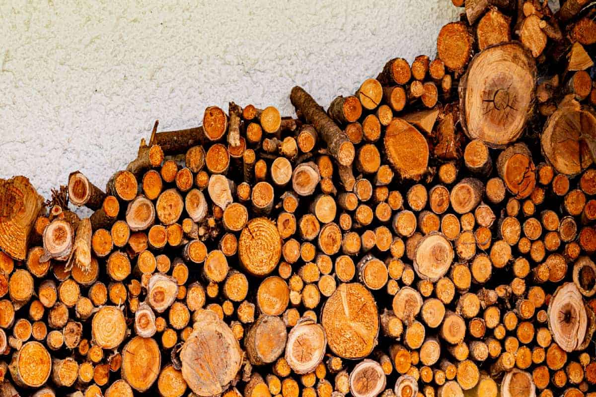 Prix d'un stère de bois de chauffage en bûches 2024