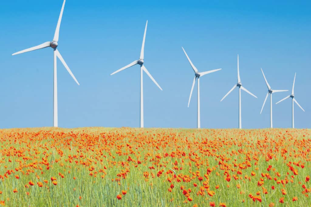 Les éoliennes comme énergie renouvelable.