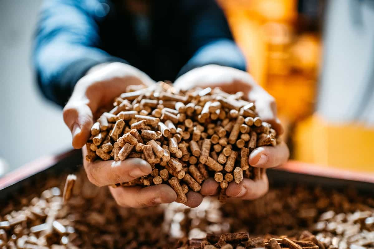 Pellets : 12 alternatives écologiques et moins cheres aux granulés