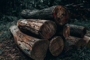 prix du bois semaine du 15
