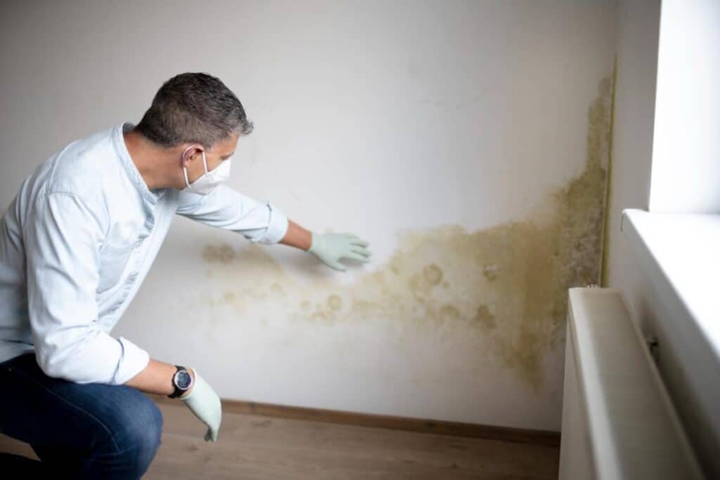 peinture isolante
